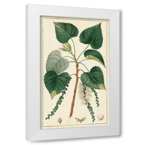 Turpin Poplar Tree  White Modern Wood Framed Art Print by Turpin