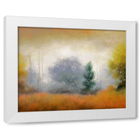 Hinterland 11 White Modern Wood Framed Art Print by Dag, Inc.