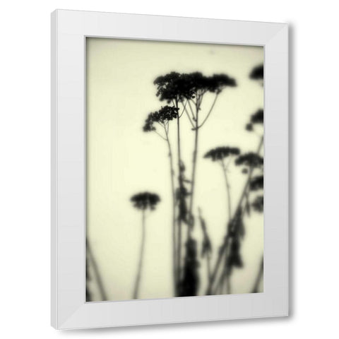 Photography/Landscape 156 White Modern Wood Framed Art Print by Dag, Inc.