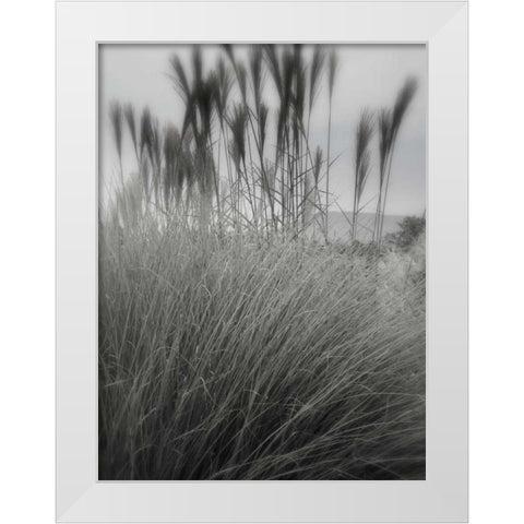 Photography/Landscape 180 White Modern Wood Framed Art Print by Dag, Inc.