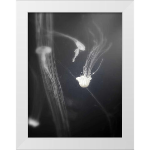 Underwater World 4 White Modern Wood Framed Art Print by Dag, Inc.
