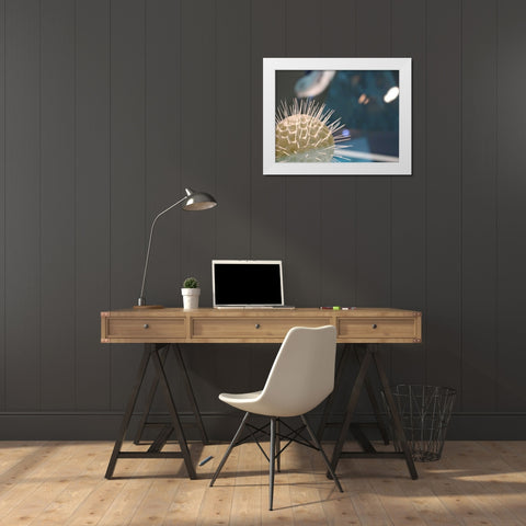 Underwater World 34 White Modern Wood Framed Art Print by Dag, Inc.