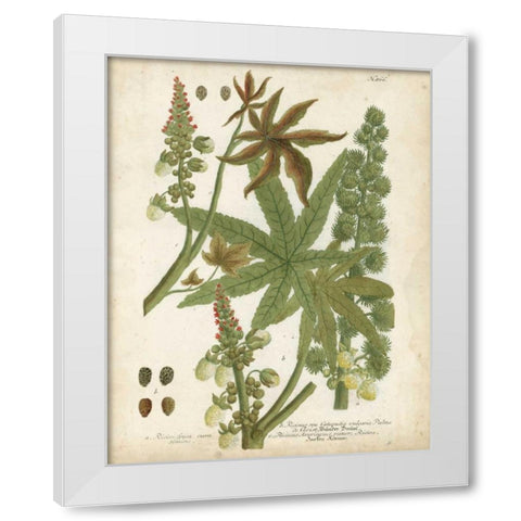 Weinmann Tropical Plants I White Modern Wood Framed Art Print by Weinmann, Johann