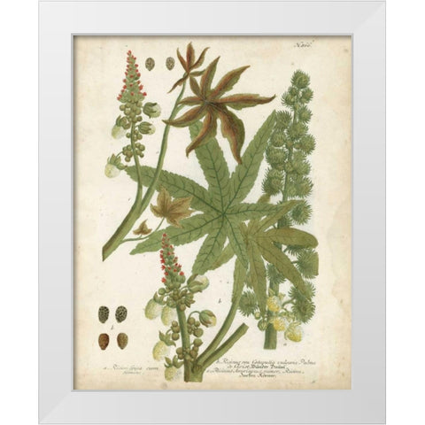 Weinmann Tropical Plants I White Modern Wood Framed Art Print by Weinmann, Johann