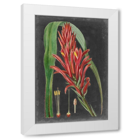 Dramatic Tropicals II White Modern Wood Framed Art Print by Vision Studio