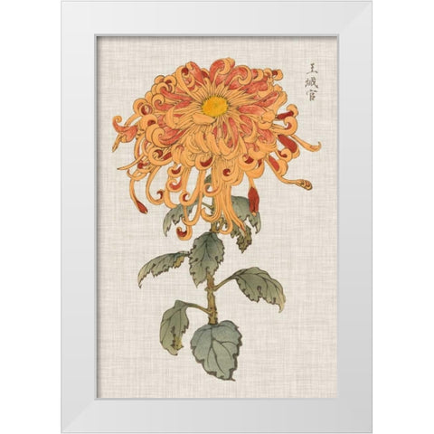 Vibrant Mums I White Modern Wood Framed Art Print by Vision Studio