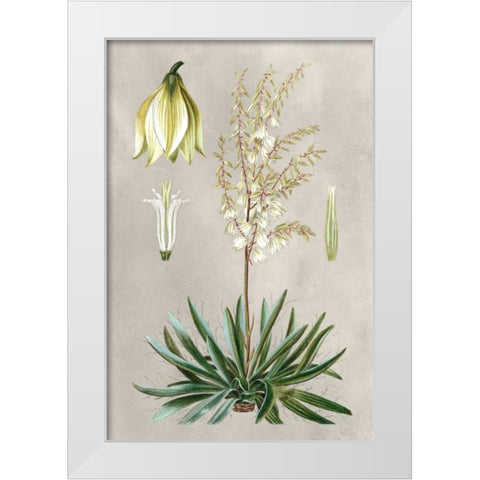 Tropical Varieties I White Modern Wood Framed Art Print by Bessa, Pancrace