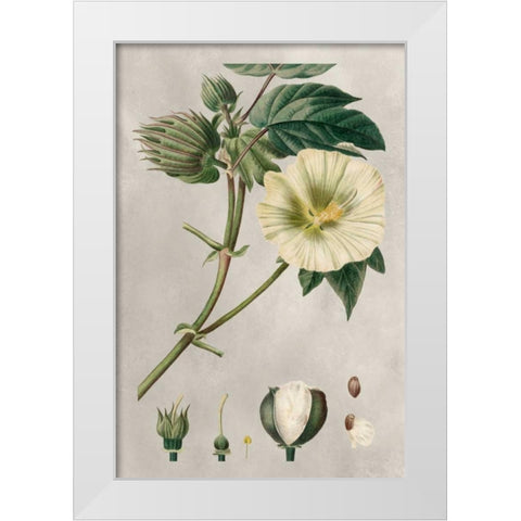 Tropical Varieties II White Modern Wood Framed Art Print by Bessa, Pancrace