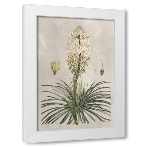 Tropical Varieties III White Modern Wood Framed Art Print by Bessa, Pancrace