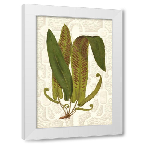 Garden Ferns I White Modern Wood Framed Art Print by Vision Studio