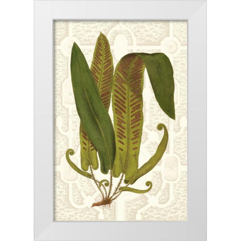 Garden Ferns I White Modern Wood Framed Art Print by Vision Studio