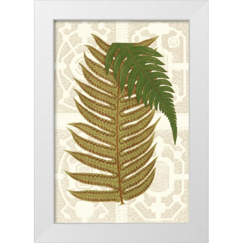 Garden Ferns II White Modern Wood Framed Art Print by Vision Studio