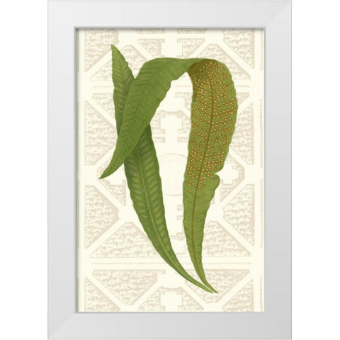 Garden Ferns IV White Modern Wood Framed Art Print by Vision Studio