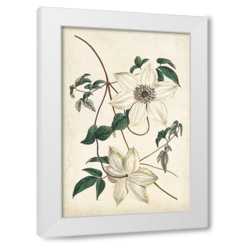 Ivory Garden II White Modern Wood Framed Art Print by Curtis