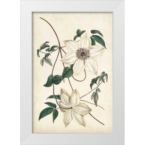 Ivory Garden II White Modern Wood Framed Art Print by Curtis