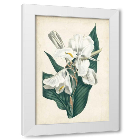 Ivory Garden IV White Modern Wood Framed Art Print by Curtis