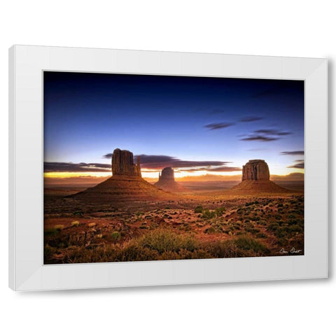 Pink Morning Glory II White Modern Wood Framed Art Print by Drost, David