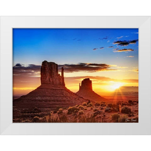 Pink Morning Glory III White Modern Wood Framed Art Print by Drost, David