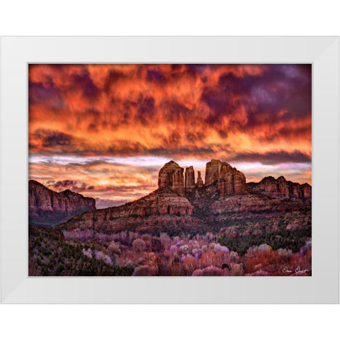 Pink Morning Glory IV White Modern Wood Framed Art Print by Drost, David