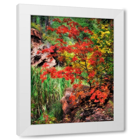 Peaceful Woods I White Modern Wood Framed Art Print by Drost, David