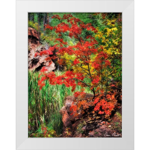 Peaceful Woods I White Modern Wood Framed Art Print by Drost, David
