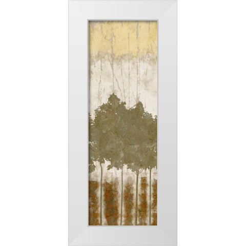 Natures Quartet II White Modern Wood Framed Art Print by Saunders, Alonzo