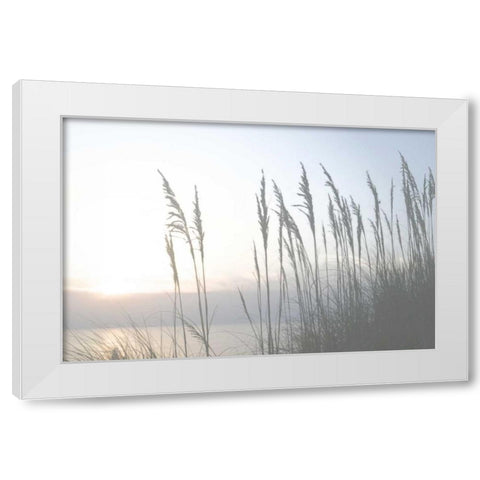 Morning Whisper II White Modern Wood Framed Art Print by Chandler, Sharon