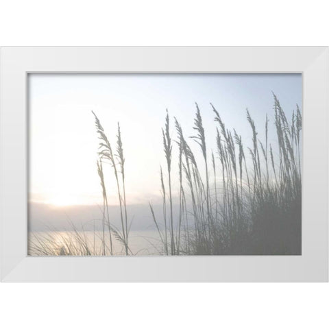 Morning Whisper II White Modern Wood Framed Art Print by Chandler, Sharon
