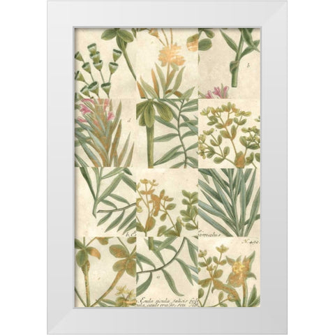 Garden Grid II White Modern Wood Framed Art Print by Weinmann, Johann