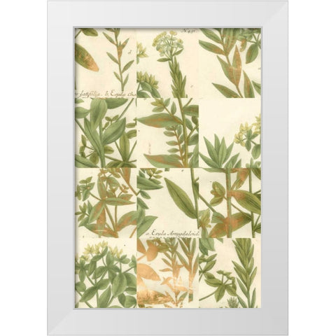 Garden Grid III White Modern Wood Framed Art Print by Weinmann, Johann