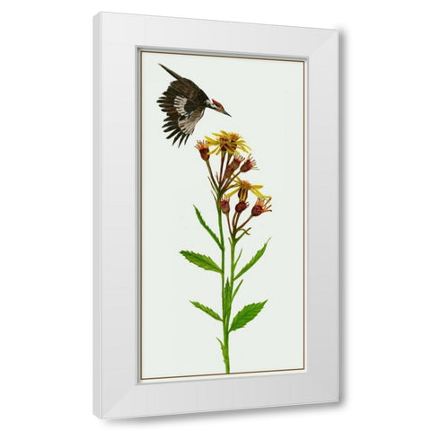 Tephroseris Flammea I White Modern Wood Framed Art Print by Wang, Melissa