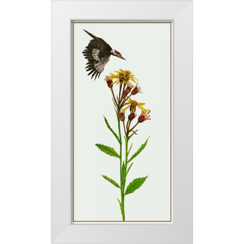 Tephroseris Flammea I White Modern Wood Framed Art Print by Wang, Melissa