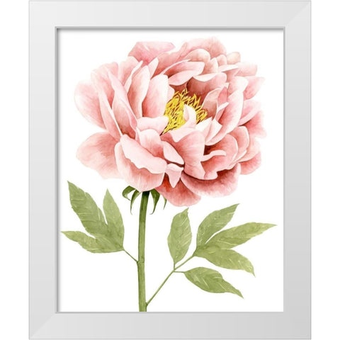 Watercolor Peony I White Modern Wood Framed Art Print by Popp, Grace