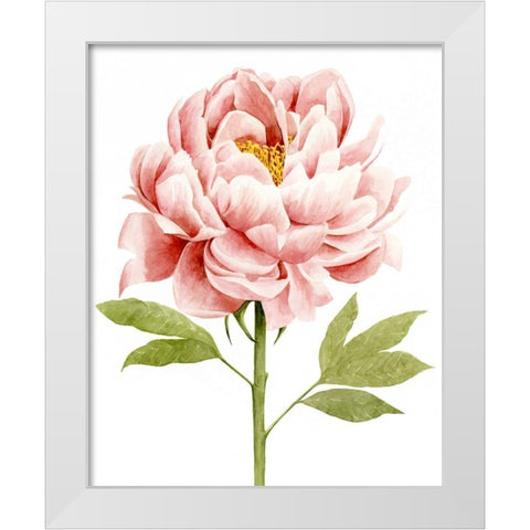 Watercolor Peony II White Modern Wood Framed Art Print by Popp, Grace