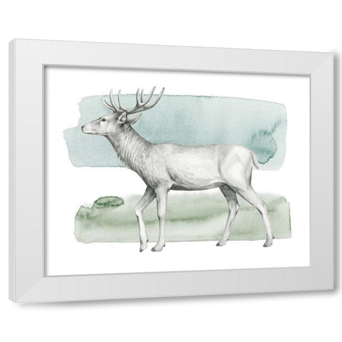 Animale IV White Modern Wood Framed Art Print by Popp, Grace