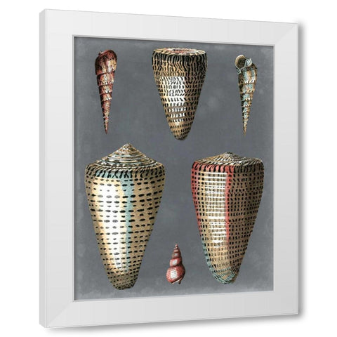 Midnight Shells I White Modern Wood Framed Art Print by Redoute, Pierre