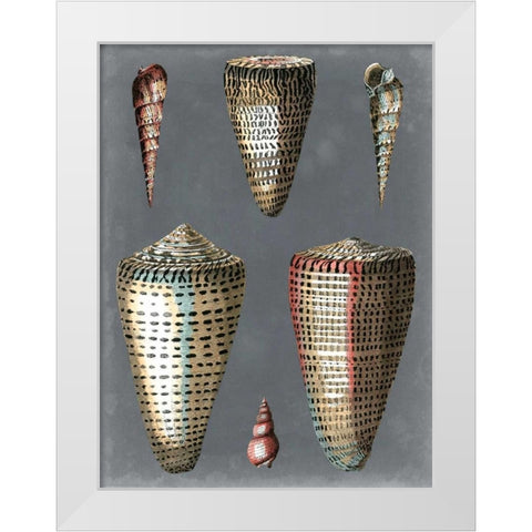 Midnight Shells I White Modern Wood Framed Art Print by Redoute, Pierre