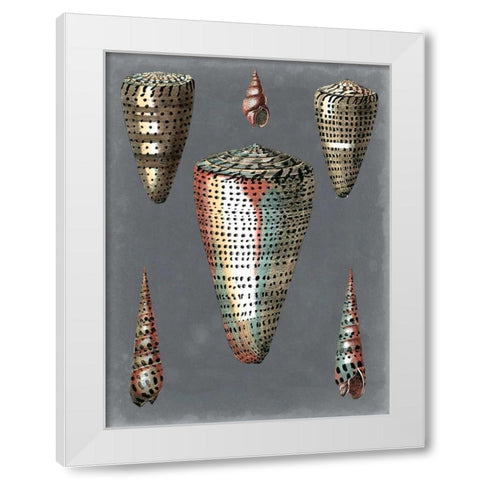 Midnight Shells II White Modern Wood Framed Art Print by Redoute, Pierre