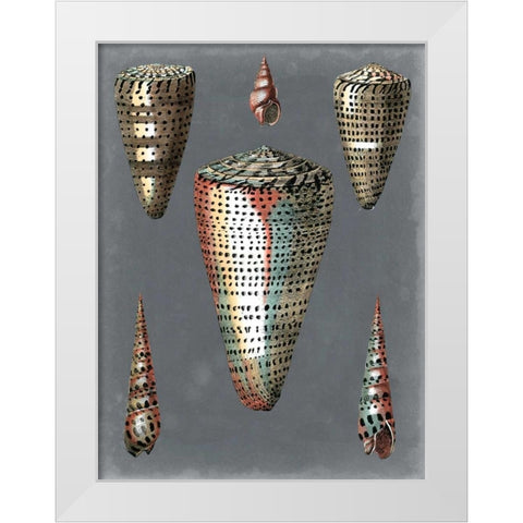 Midnight Shells II White Modern Wood Framed Art Print by Redoute, Pierre