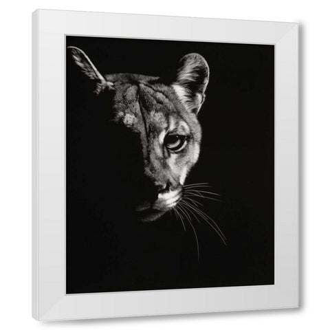 Black Glimpse IV White Modern Wood Framed Art Print by Chapman, Julie T.