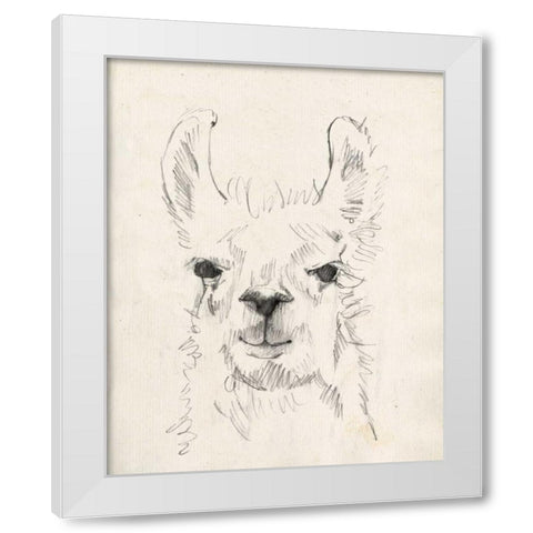 Llama Portrait I White Modern Wood Framed Art Print by Goldberger, Jennifer