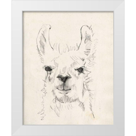 Llama Portrait I White Modern Wood Framed Art Print by Goldberger, Jennifer