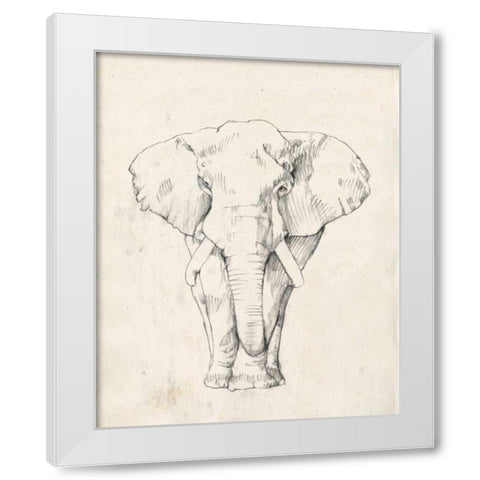 Elephant Portrait I White Modern Wood Framed Art Print by Goldberger, Jennifer