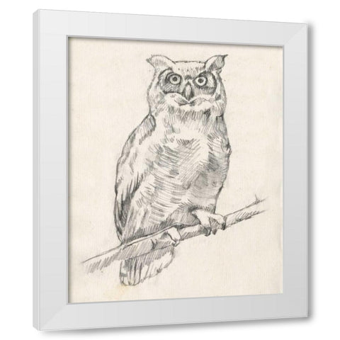 Owl Portrait I White Modern Wood Framed Art Print by Goldberger, Jennifer