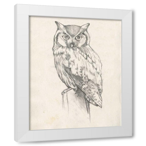 Owl Portrait II White Modern Wood Framed Art Print by Goldberger, Jennifer