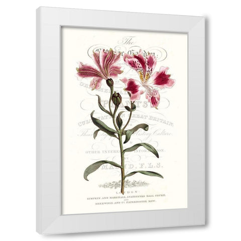 Flower Garden Varietals II White Modern Wood Framed Art Print by Vision Studio