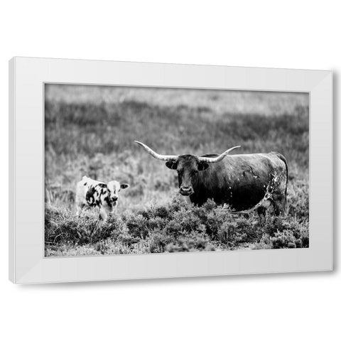 B and W Longhorn II White Modern Wood Framed Art Print by Stockton, Tyler
