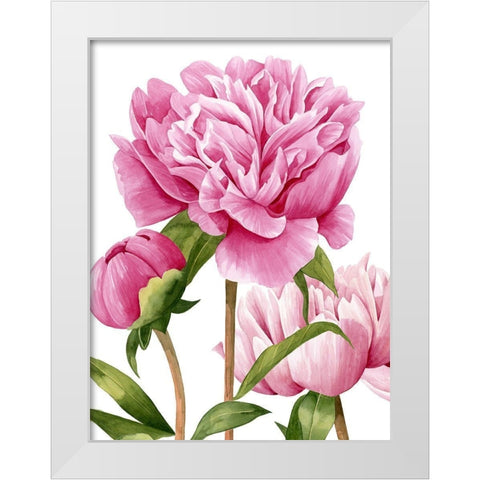 Winsome Peonies II White Modern Wood Framed Art Print by Popp, Grace