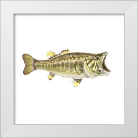 Illustrated Bass White Modern Wood Framed Art Print by Novak, Rick
