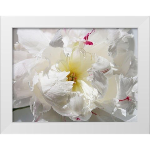 Breathless II White Modern Wood Framed Art Print by Orlov, Irena